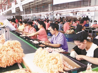 廣西北流市以招商引資工作為抓手推動縣域經(jīng)濟(jì)高質(zhì)量發(fā)展