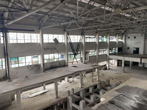 北碚玻璃器皿廠的遺憾沉浮與重慶輕工“五朵金花”的多元軌跡